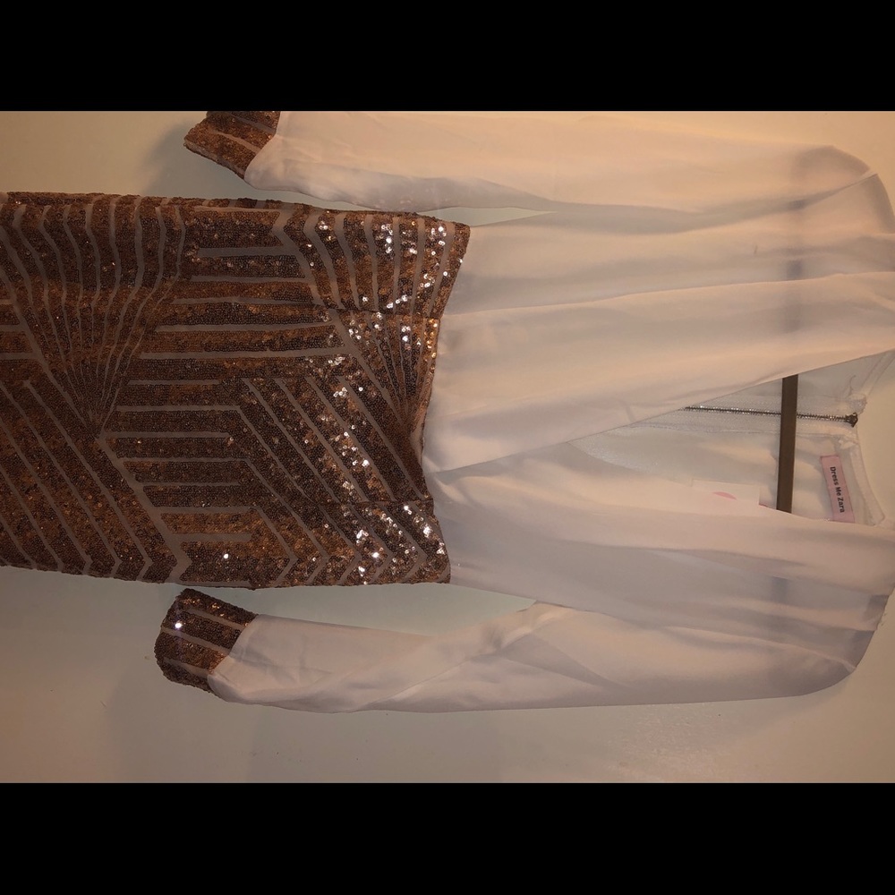 Dress Me Zara NWT. Chiffon and Sequin dress.